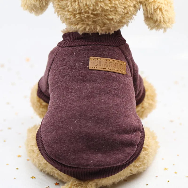 Pawstrip Warm Winter Dog Coat - XS-2XL for Small Dogs and Cats