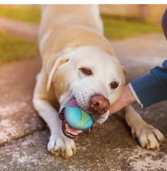 Bite-resistant bouncy ball for dogs of all sizes.