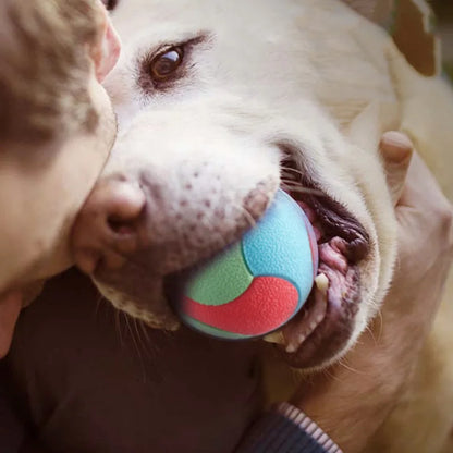 Bite-resistant bouncy ball for dogs of all sizes.