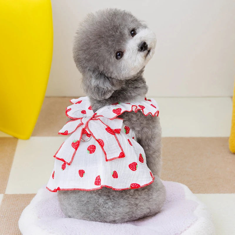 Summer Dog Dress Cute Dog Clothes for small Dogs Bow Puppy Dress Chihuahua Bichon Clothing Dog accessories