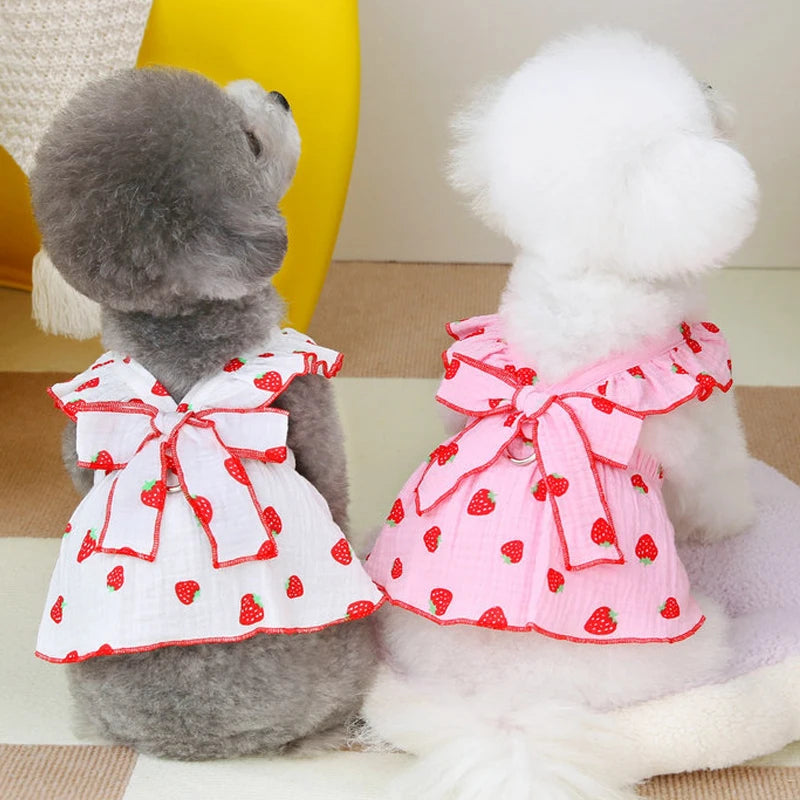 Summer Dog Dress Cute Dog Clothes for small Dogs Bow Puppy Dress Chihuahua Bichon Clothing Dog accessories