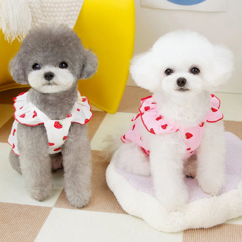 Summer Dog Dress Cute Dog Clothes for small Dogs Bow Puppy Dress Chihuahua Bichon Clothing Dog accessories