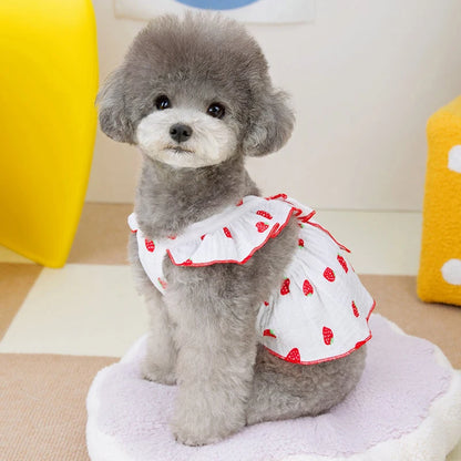 Summer Dog Dress Cute Dog Clothes for small Dogs Bow Puppy Dress Chihuahua Bichon Clothing Dog accessories