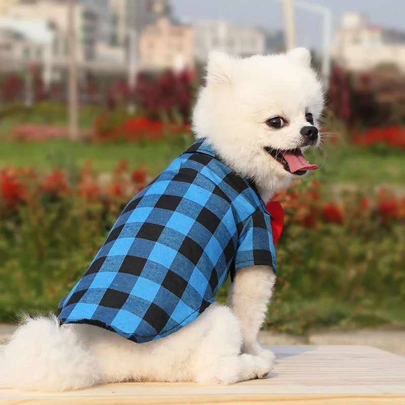 Hawaiian Style Dog Shirt - Summer Clothes for Small to Medium Dogs